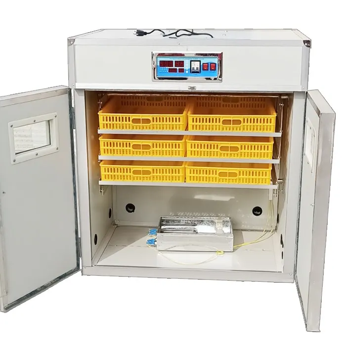 best incubator for turkey eggs